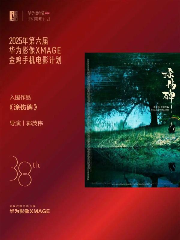 公开信息按发布时间滚动